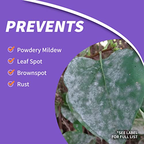 Bonide Fruit Tree & Plant Guard, 32 oz Concentrate - image 4