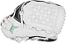 Easton | Fundamental Series Fastpitch Softball Glove | 12.5