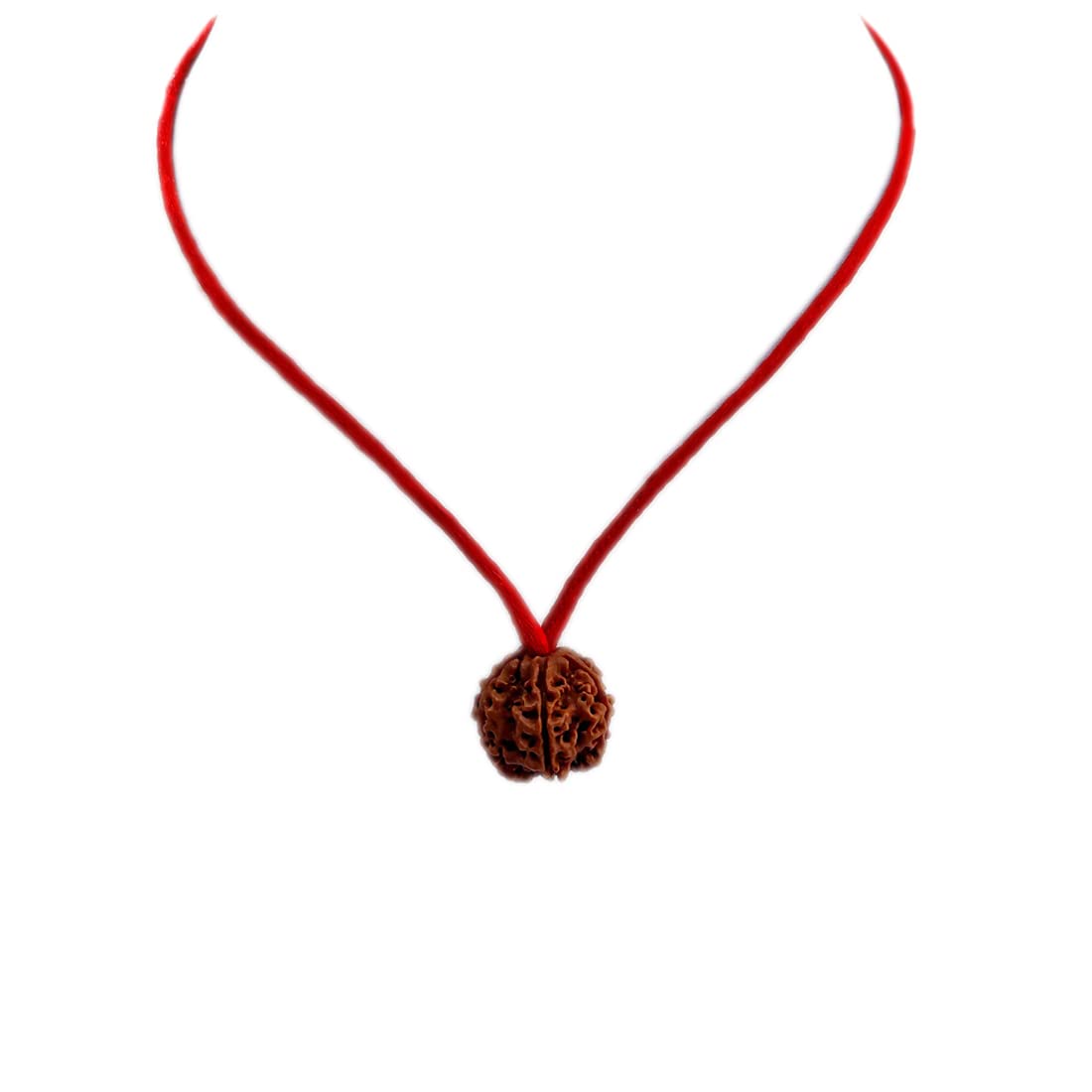 Lab Certified 4 Mukhi Rudraksha Beads Positive Effect Original & Real Natural 4 Face Rudraksha Beads Dhaga Locket Man and Women-image-18