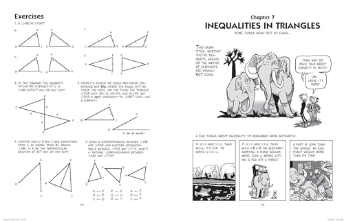 The Cartoon Guide to Geometry: An Illustrated and Comprehensive Mathematical Primer on Geometry