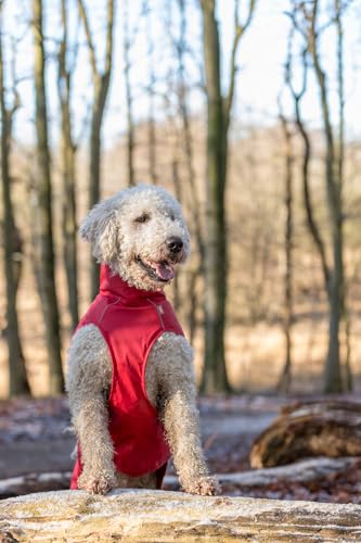 TRIXIE Regenmantel Vimy für Hunde rot XS - Bauchumfang: 20-39 cm – Hunde-Regenjacke mit reflektierenden Elementen für mehr Sichtbarkeit im Dunkeln – bequem & verstellbar - 680220
