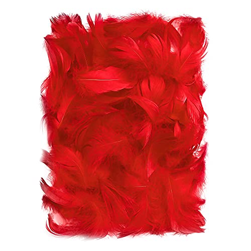 Netuno 150 pièces Rouge Plumes décoratives 10g Plumes duveteuses décoratives d'oiseaux Naturelles pour DIY Bricolage Décoration Pâques Noël Figure décorative Loisirs créatifs Mariage