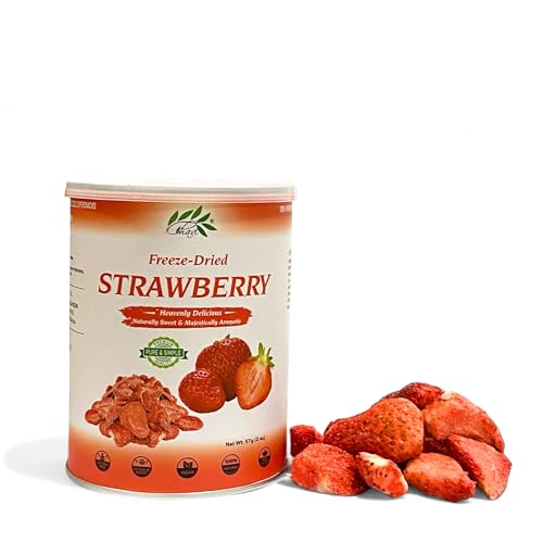 CHAVI Freeze-Dried Strawberry | Healthy 1 Ingredient Superfood - No Added Sugars or Preservatives - Non-GMO, Vegan, Gluten-Free | Long Shelf Life | 2 oz Can