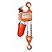 Prowinch 1 Ton (2200 lb) 220V 1-Speed Electric Chain Hoist with 20 ft. G80 Grade Chain, H2 Duty Rating, Wireless Remote Control for Efficient Lifting, Ideal for Industrial and Commercial Applications