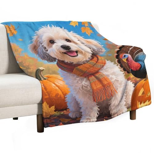 velumair Thanksgiving Fall Havanese Dog Bed Blanket Warm Plush Lightweight Soft Flannel Pumpkins Turkey Throw Blanket for Living Rooms Sofa Bedroom Decor 60"x80"