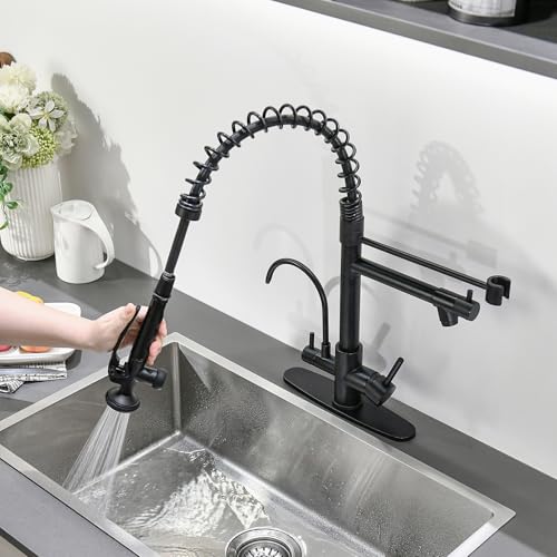 Image of Fapully Commercial Kitchen Faucet with Drinking Water Faucet Matte Black