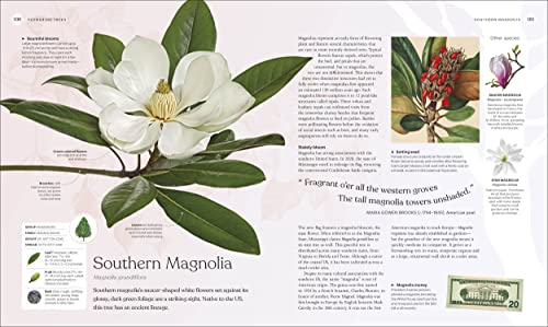 The Tree Book: The Stories, Science, and History of Trees - Image 7