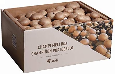 Setas Meli - Kit Autocultivo | Champiñón Portobello, Fresco y Eco...