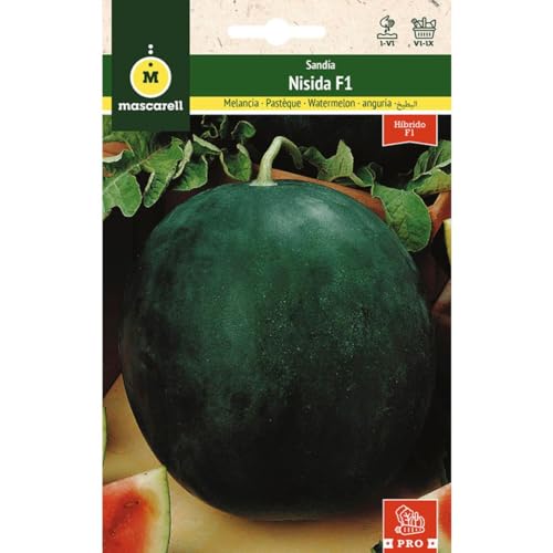 Mascarell Semillas, SANDÍA, Semillas Huerto, SANDÍA NISIDA F1, Crea tu Propio Huerto Urbano y Cultivo en Casa, Plantas Hortícolas, 0,6 Gramos