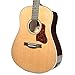 Seagull Coastline Momentum High Gloss Acoustic Electric Guitar