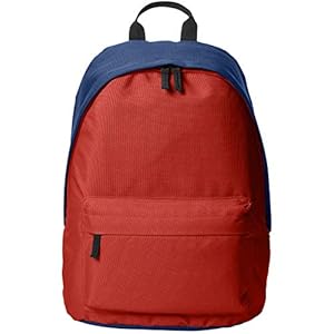 Amazon Basics Mochila para todos los días, azul