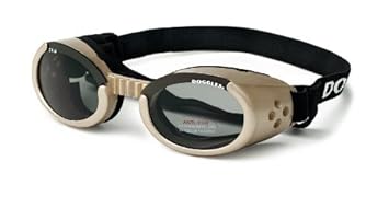 Doggles ILS Small Chrome Frame and Smoke Lens