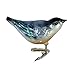 Old World Christmas Ornaments: Nuthatch Glass Blown Ornaments for Christmas Tree