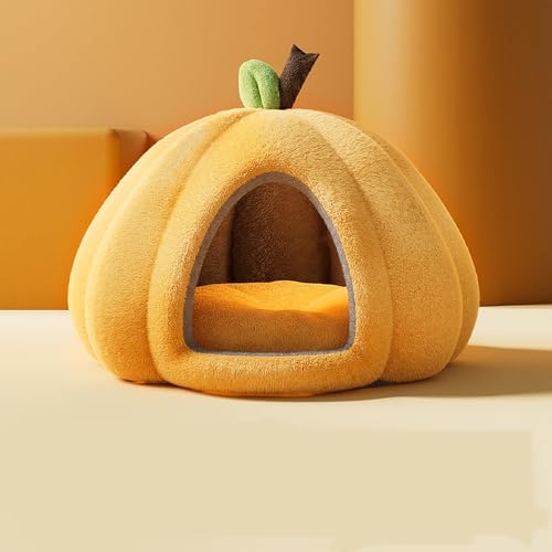 [ADSNS] ybgxbh ybgnEX h[^   H~p Lxbh   薰 LnEX Q p􂦂 ybgnEX J[1 NbV lRxbh lR  LQ Q zc \tg