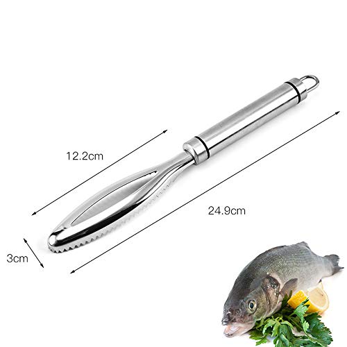Foto von CHUER Fischentschupper, Edelstahl Fischschupper Profi Fisch Entschupper Fischschaber(24.9 * 3cm)
