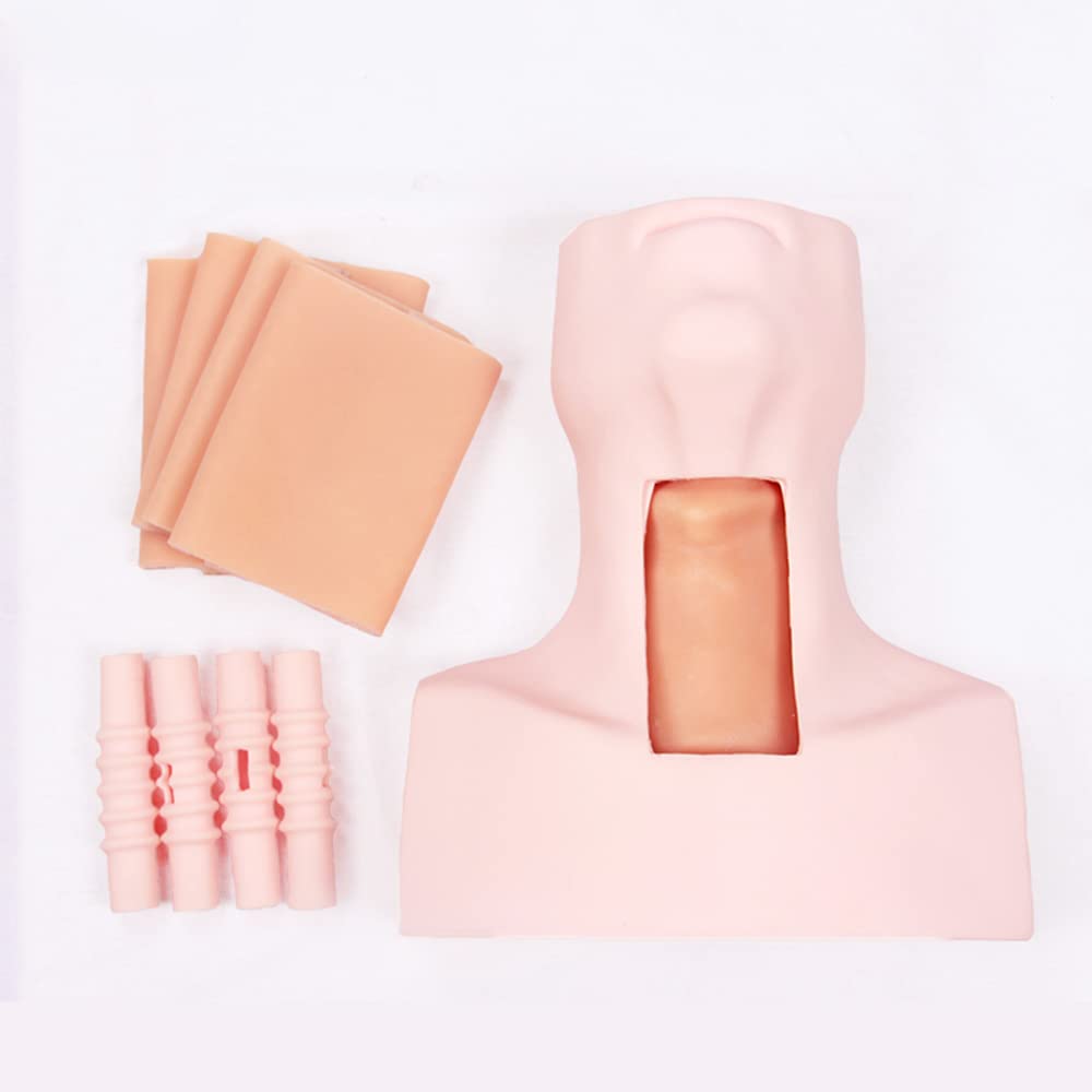 Zcbybt Cricothyroid Membrane Puncture Model Suture Emergency ...