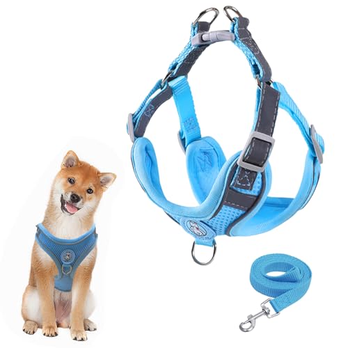 Harnais pour chien Vuemhjaey - Bleu, Taille S, Réfléchissant, Respirant, Réglable, avec Laisse de 1,5 m
