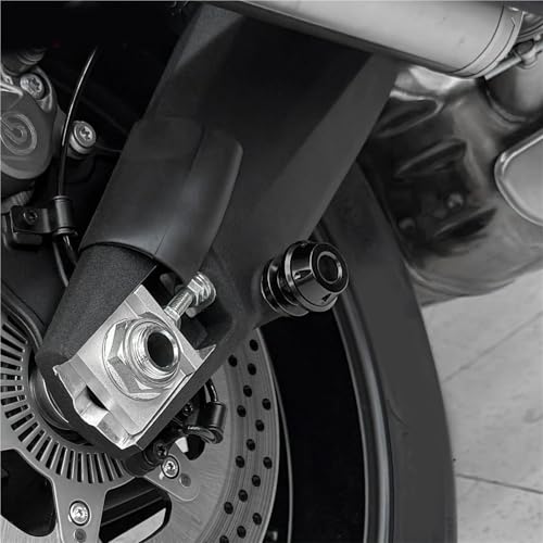 Evita caídas usando este tornillo de soporte para basculante Z1000R 6