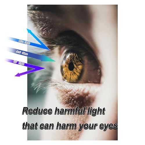 Image of 34 inch Privacy Screen for Computer Monitor, Protects Your Eyes from Glare and Blue Light, Hanging Anti-Spy 21:9 Privacy Screen Protection Shield (32.09 inch X 14.37 inch)