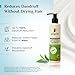 Pilgrim Anti-Dandruff Shampoo with Australian Tea Tree & Salicylic Acid | Non-Drying Itchy Scalp Treatment | Reduces Visible Flakes | Suitable for All Hair Types | 6.76 Fl Oz (200ml)
