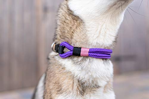 Wau-Effekt Tauhalsband für Hunde - 100% Handarbeit - Halsband - Halsung aus robustem Segeltau mit Biothaneverschluss (S, Lila - Dunkelblau Rosa)