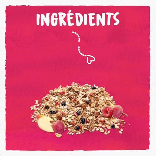 Bjorg muesli fruits tournesol lin doré sans gluten bio - vue 4