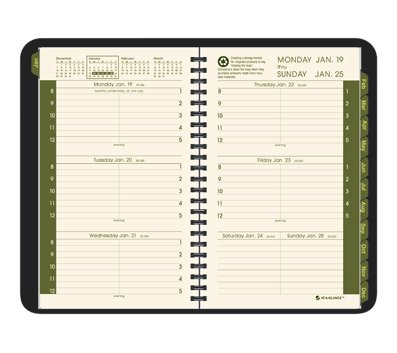 AT-A-GLANCEAppointment Book