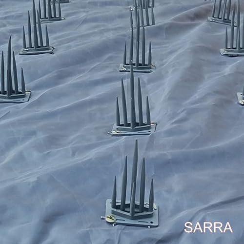 Image of SARRA Permium Quality Car Protection Covers from Dog /Monkey Sitting On The Top of The Car Or On Bonnet (Pack of 2 -)(1 Big and 1 Small)