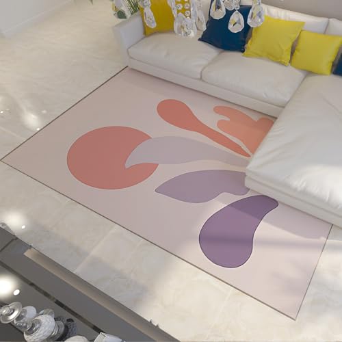 Tapis 120x180cm Chambre Léger de Colombe Noire - Boho Lavable Moderne - 3