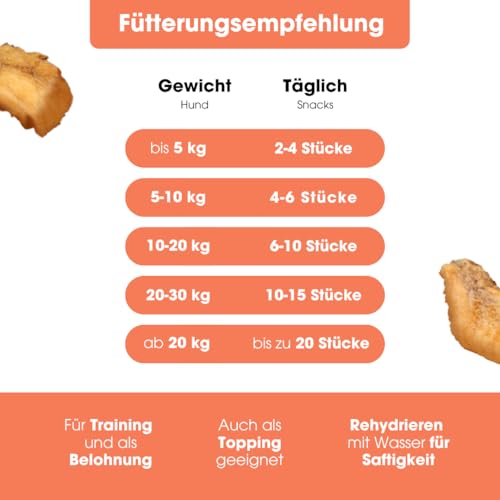KAUDAS LachsPur Natursnack – 5 x 50 g gefriergetrocknetes Lachs Leckerli Hund mit hohem Proteingehalt & Omega-3, 100% natürlicher Hundesnack 550 g Rohgewicht – ohne Zucker, Getreide & Zusatzstoffe