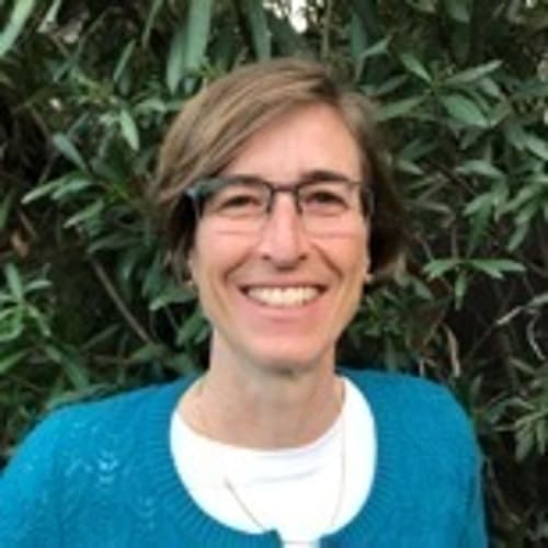 Dr. Lynne Hillenbrand, Professor of Astronomy at Caltech Podcast Por capa