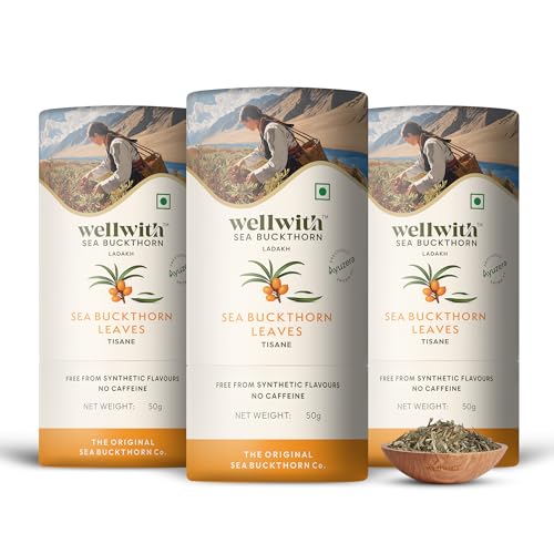 Image of Wellwith (Ayuzera) Sea Buckthorn Raw Leaves Tea | Himalayan Herbal Leaf Tea | Good for Skin, Immunity & Detox | Pure & Natural | 50g (Pack of 3)
