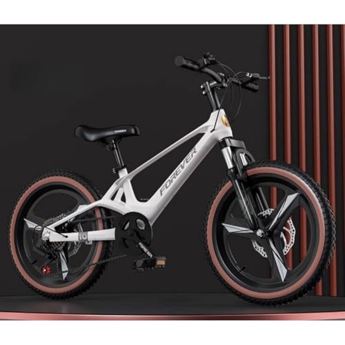 TImDu�q���p���]�ԁA18/20/22�C���`�A�Ռ��z�����]�ԁA�ω׏d100kg ���y�ʁA�}�O�l�V�E���������}�E���e���o�C�N�A�j�̎q�A���̎q�A���w���A���w���ɓK���Ă���A�X����ʋ΂ɂ����g�����������܂� (���[�����C�g�z���C�g + ��̌^�σM�A�z�C�[��