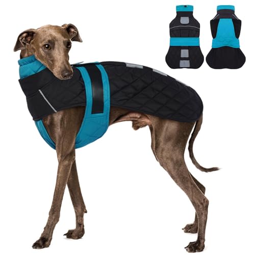MORVIGIVE Whippet Dog Coat - Lake Blue, Small - Small Dog Winter Coat with Adjustable Bands, Dog...