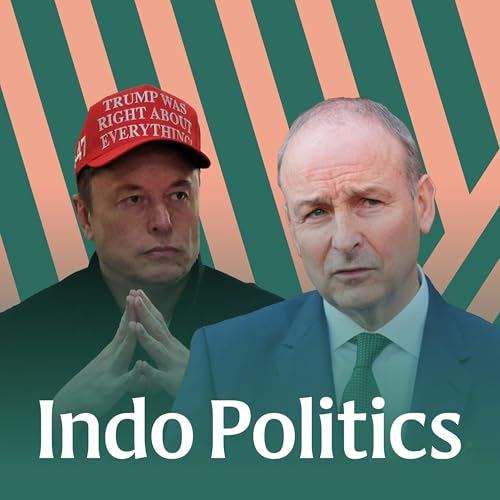 Between Grok and a hard place: Pressure on Miche&aacute;l Martin to hold golden tech goose to account