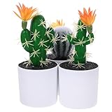 E: realizzate in materiali plastici, queste piante rimarranno vivaci e fresche a lungo, cactus in vaso simulato, cactus artificiale grande
