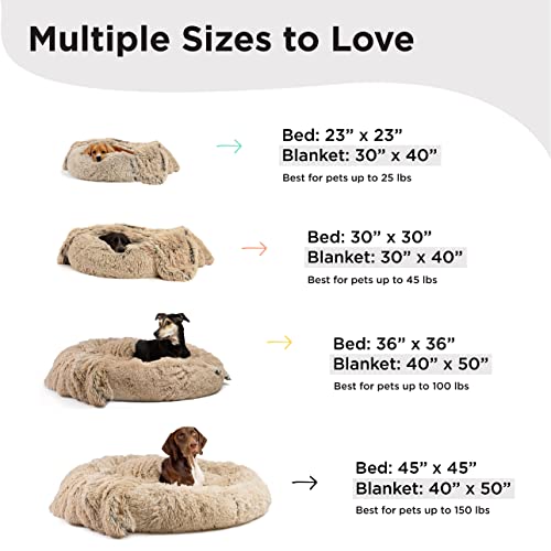 Best Friends by Sheri Bundle Set The Original Calming Shag Donut Cuddler Cat and Dog Bed + Pet Throw Blanket, Taupe, Large, 36x36
