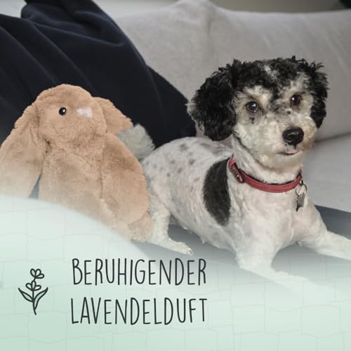 Cozy Dog Bunny Dog Kuscheltier - Kuschelhund mit Herzschlag - reduziert Trennungsangst - speziell für Welpen - Braun