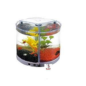 Dophin T-101 Aquarium Betta Fish Mini Tank -Pack of 3