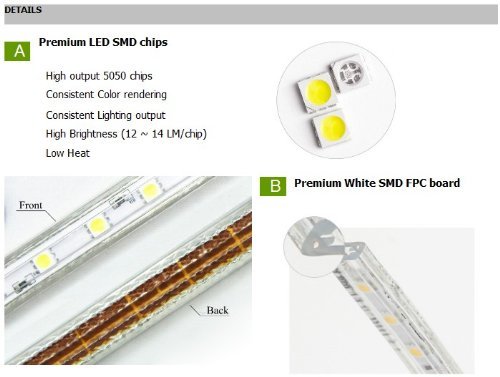 50' Soft White Rope Lighting