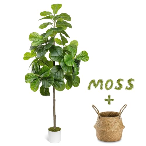 LuceAlberi 6FT Artificial Fiddle Leaf Fig Tree - Tall Fake Tree with White Planter&Seagrass Basket...