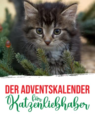 Katzen Adventskalender – Die 15 besten Produkte im Vergleich 