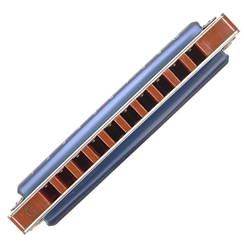 VIDOO 10 Loch Blues Harmonika Ton C Blaue Farbe Für Anfänger-A