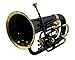 UNIQ Bb Euphonium 4 Valve for Students, Beginners with Free Hard Case and Mouthpiece, Bb Pitch Euphonium Brass Made Musical Instrument (Black Brass)