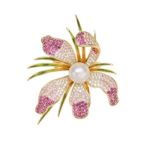 ̃u[`t@bVGKgȒW^̉Ԃ̃oXgsX[cANZT[