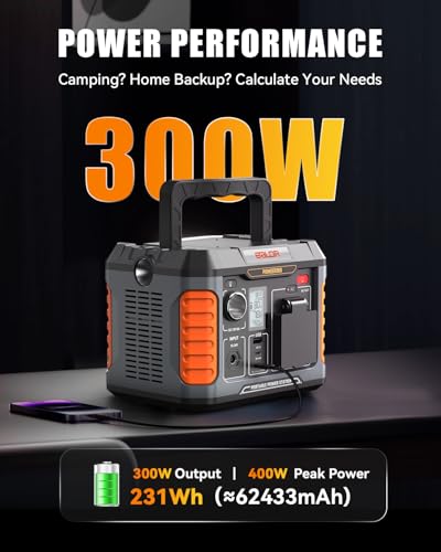 BALDR Portable Power Station 300W, 231Wh Solar Generator Backup Lithium Battery Power Supply, 120V Pure Sine Wave AC Outlet, QC 3.0, Type C Input/Output, for Home Camping Emergency… - Image 5