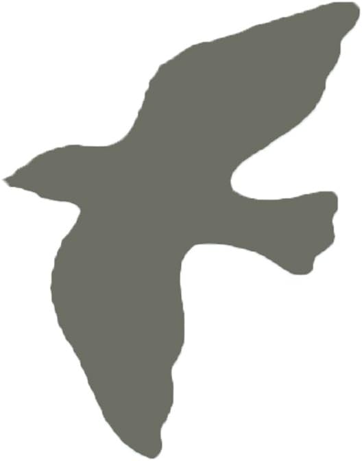 nido+flyingbird`d+gray