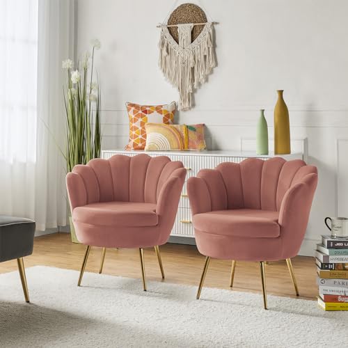 Image of HULALA HOME Modern Velvet Accent Chairs Set of 2 with Shell Shaped Back, Cute Living Room Bedroom Armchairs Sofa Chairs with Gold Legs, Comfy Upholstered Vanity Chairs for Makeup Room, Pink