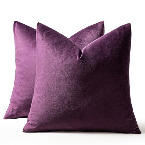 Image of MIULEE Pack of 2 Velvet Pillow Covers Decorative Square Pillowcase Soft Solid Cushion Case for Sofa Bedroom Car 24 x 24 Inch 60 x 60 cm Eggplant Purple