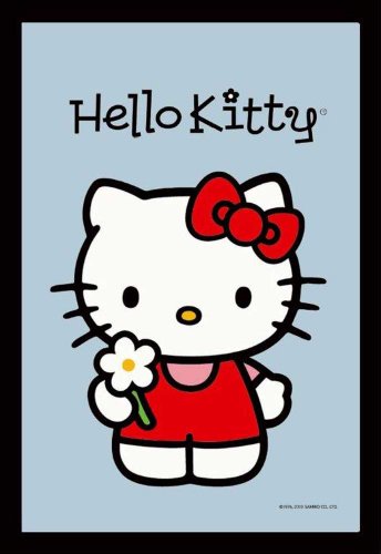 Empire Merchandising GmbH 544322 Miroir imprimé avec Cadre en Plastique Effet Bois Hello Kitty et Fleur 30 x 40 cm